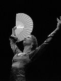 Centro Flamenco Raphaela Stern